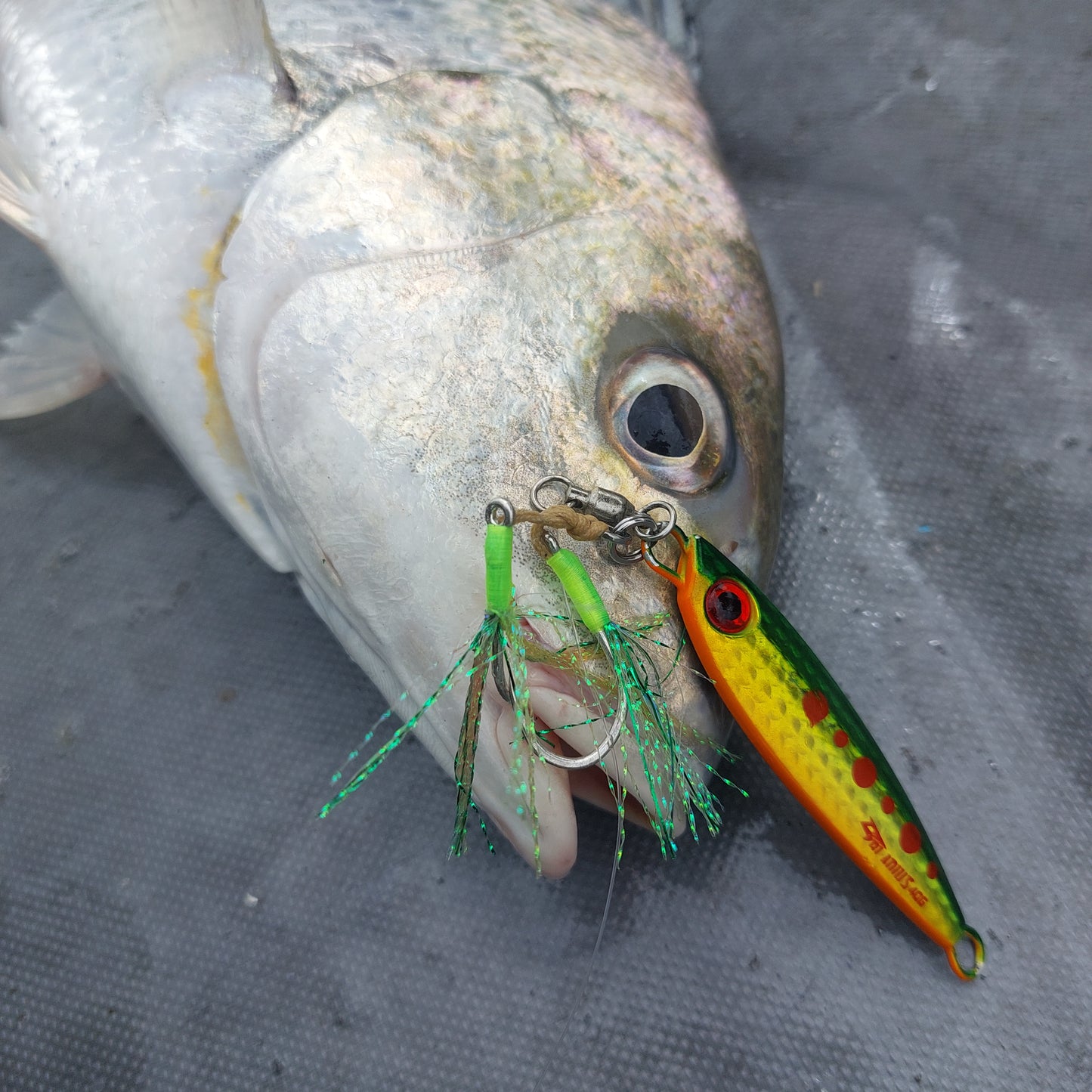 Tetra Jig by Gladius